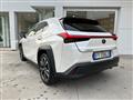 LEXUS UX Hybrid 4WD F Sport