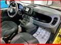 FIAT Panda 1.0 FireFly S&S Hybrid MY24 KM ZERO!!! IVATA NEOPATENTATI