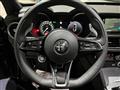 ALFA ROMEO STELVIO 2.2 Td 210CV AT8 Q4 Veloce /Pelle/Navi/Vetri scuri