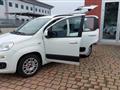 FIAT PANDA 1.2 Easy  40.000  Km  Az. Italia Euro 6b