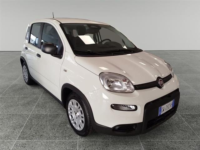 FIAT PANDA 1.0 FireFly S&S Hybrid Pandina