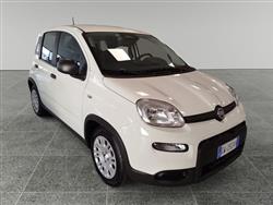 FIAT PANDA 1.0 FireFly S&S Hybrid Pandina