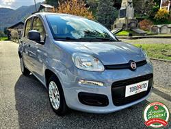 FIAT PANDA 1.2 Easy NEOPATENTATI