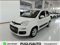 FIAT PANDA 1.3 MJT 80 CV S&S Easy