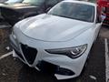 ALFA ROMEO STELVIO 2.2 Turbodiesel 180 CV AT8 RWD Business