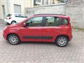 FIAT PANDA VAN 1.3 Multijet 75 CV NEOPATENTATI