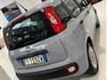 FIAT PANDA 1.2 Easy con promo "PANERO PLUS"