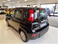 FIAT PANDA 1.0 FireFly S&S Hybrid Pandina