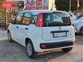 FIAT PANDA 1.0 HYBRID Easy 70CV S&S