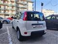 FIAT Panda FIAT Panda 1.0 firefly hybrid s&s 70cv