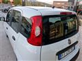 FIAT PANDA III 2016 1.2 Easy s&s 69cv my19