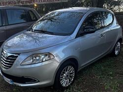 LANCIA YPSILON 1.2 69 CV 5 porte Gold