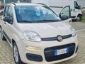 FIAT PANDA 1.2 EasyPower Easy