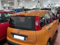 FIAT PANDA 1.0 FireFly S&S Hybrid Easy