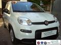 FIAT PANDA 1.0 FireFly S&S Hybrid Md.24 Km0 VETTURA NUOVA