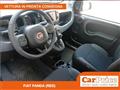 FIAT PANDA 1.0 FireFly 70CV Hybrid Cross (RED)