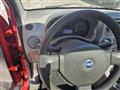 FIAT PANDA 1.2 Climbing 4x4 OK NEO PATENTATO