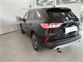 FORD KUGA 1.5 EcoBlue 120 CV 2WD Titanium Business