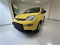 FIAT PANDA 1.0 FireFly S&S Hybrid Pandina