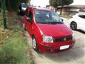 FIAT Panda 1.2 Dynamic 69cv E5 GPL C/VENDITA