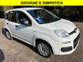 FIAT PANDA 1.2 Benzina Neopatentati