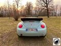 VOLKSWAGEN New Beetle Cabrio TDI 101CV