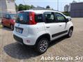 FIAT PANDA 0.9 TwinAir Turbo S&S 4x4 - Garanzia fino 36 mesi