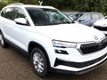 SKODA KAROQ 2.0 TDI EVO SCR 115 CV Selection N1 Autocarro