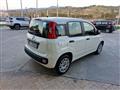 FIAT PANDA III 2016 1.2 Easy s&s 69cv my19