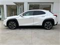 LEXUS UX Hybrid 4WD F Sport