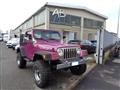 JEEP WRANGLER 4.0 cat Hard top (EU) *GPL* *CRS* *FINANZIABILE*