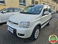 FIAT PANDA 1.2 4x4 Climbing NEOPATENTATO