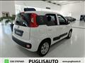 FIAT PANDA 1.3 MJT 80 CV S&S Easy