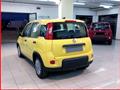 FIAT Panda 1.0 FireFly S&S Hybrid MY24 KM ZERO!!! IVATA NEOPATENTATI