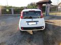 FIAT PANDA 1.3 MJT 80 CV S&S Easy