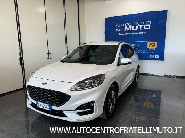 FORD KUGA 1.5 EcoBlue 120 CV 2WD ST-Line