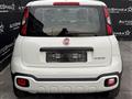 FIAT PANDA CROSS Panda Cross 1.0 FireFly S&S Hybrid