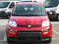 FIAT PANDA 1.0 FireFly S&S Hybrid Pandina