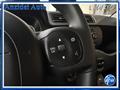 FIAT PANDA 1.0 70 Cv Hybrid Easy