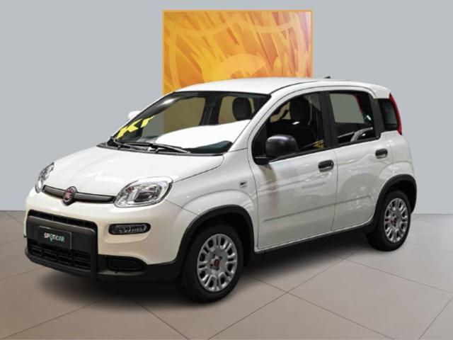 FIAT PANDA CROSS 1.0 Hybrid MY23 70cv