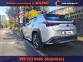 LEXUS UX Hybrid 4WD