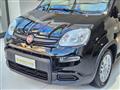 FIAT PANDA 1.0 FireFly S&S Hybrid Pandina da ?149,00 mensili