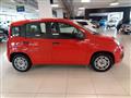 FIAT PANDA 1.2 EasyPower Easy