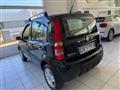 FIAT PANDA 1.2 Climbing Natural Power