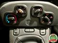 FIAT PANDA 1.0 FireFly S&S Hybrid City Life *NO VINCOLI*NEOP*