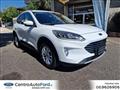 FORD KUGA 2.0 EcoBlue Hybrid 150 CV 2WD Titanium