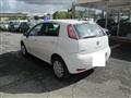 FIAT PUNTO 1.4 8V 5 porte Natural Power