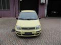 FIAT PANDA 1.2 Dynamic *OK NEOPATENTATI