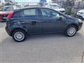 FIAT PUNTO 1.4 8V 5 porte Natural Power Street