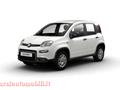 FIAT PANDA 1.0 FireFly S&S Hybrid PREZZO VERO